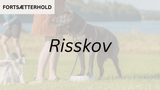 Fortsætterhold 1 RISSKOV (start 16. aug. kl. 9:00)