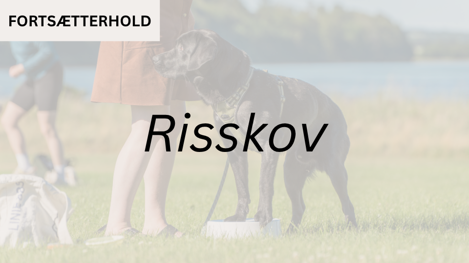 Fortsætterhold 1 RISSKOV (start 16. aug. kl. 9:00)