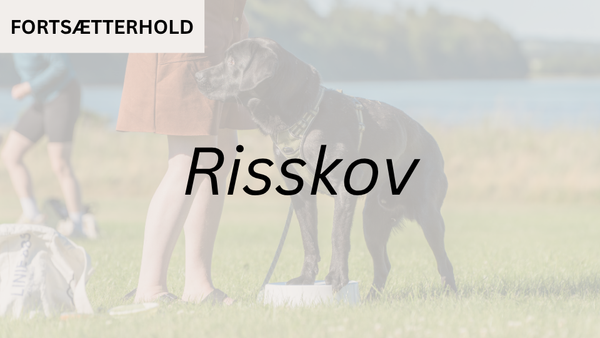 Fortsætterhold 1 RISSKOV (start 16. aug. kl. 9:00)