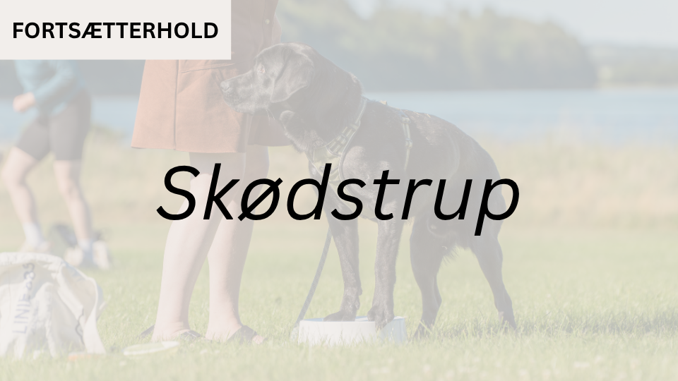 Fortsætterhold 1 SKØDSTRUP (start 19. aug. kl. 18:50)