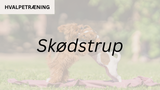 Hvalpetræning SKØDSTRUP (start 19. aug. kl. 16:30)