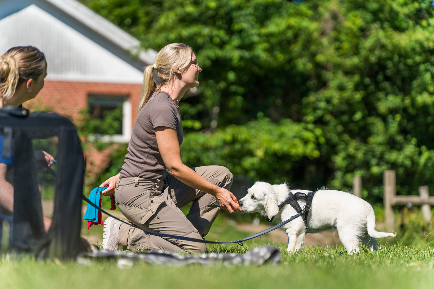 Gå til sjov og lærerig hvalpetræning hos uddannet hundetræner